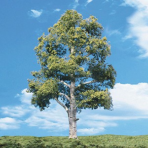 Woodland Scenics Classic Trees(R) Ready Made - Waters Edge